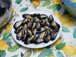 Immagine allegata alla scheda. Per averne una descrizione leggere i dettagli più in basso.